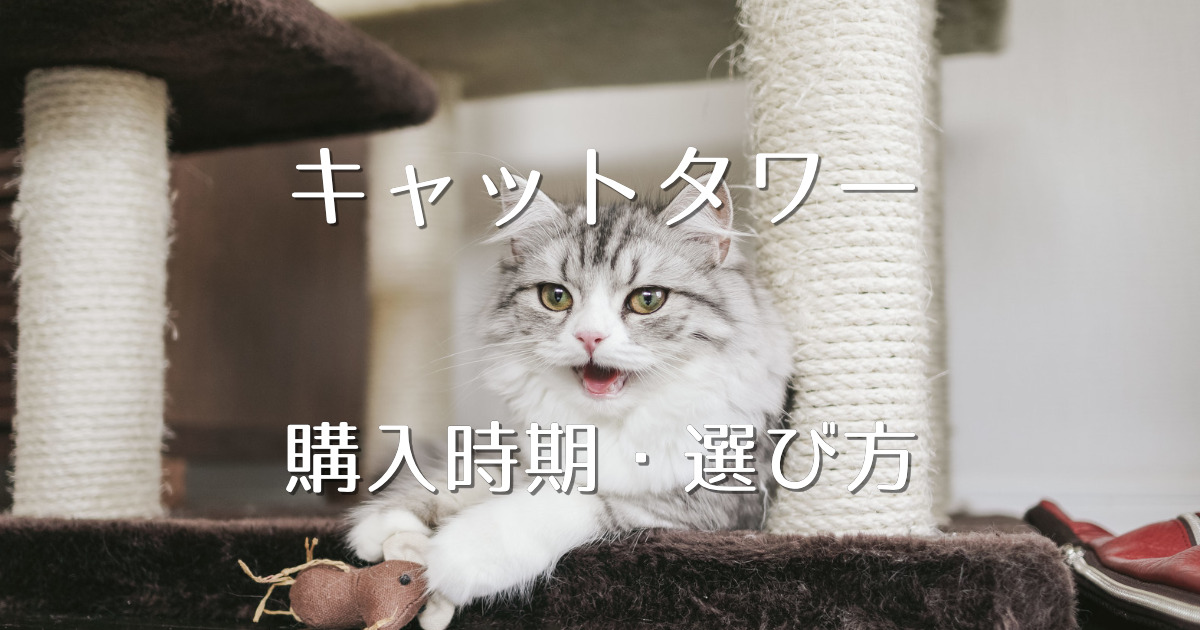 猫のストレス解消 キャットタワーの購入時期 選び方 メリット デメリット にゃんこ１００