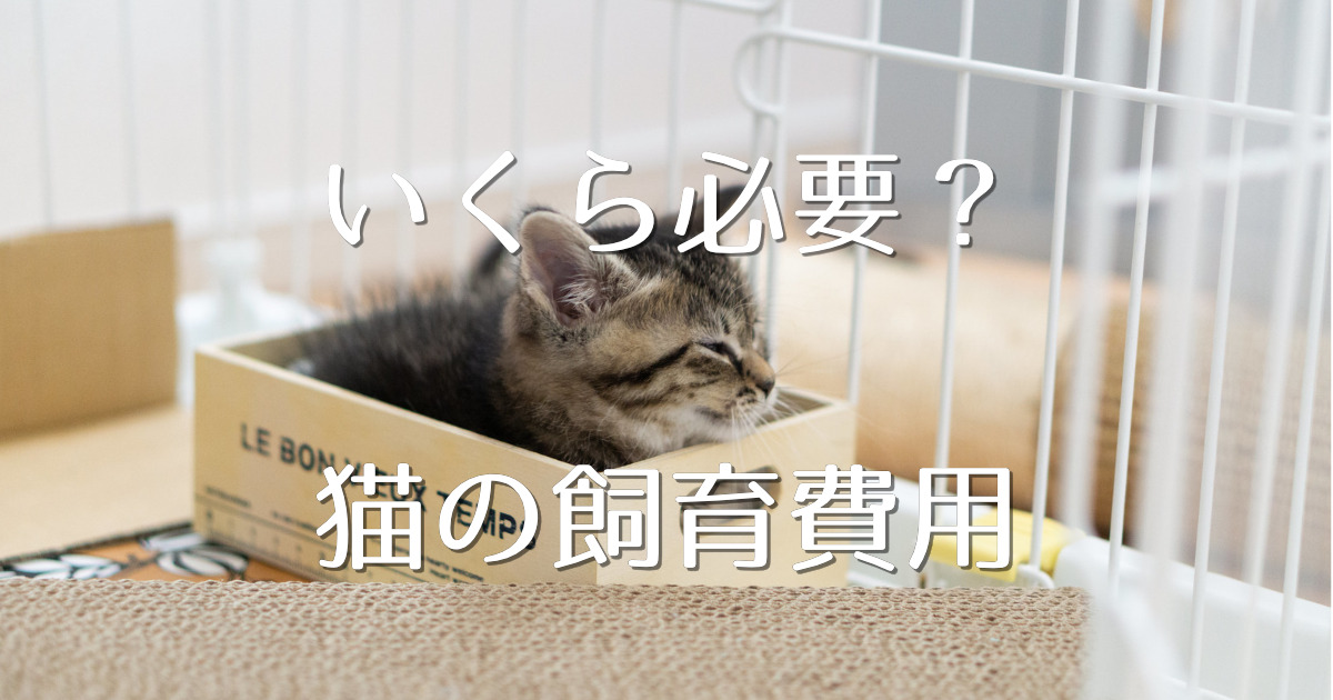 猫を飼うためにはいくら必要 猫の生涯飼育費用 にゃんこ１００