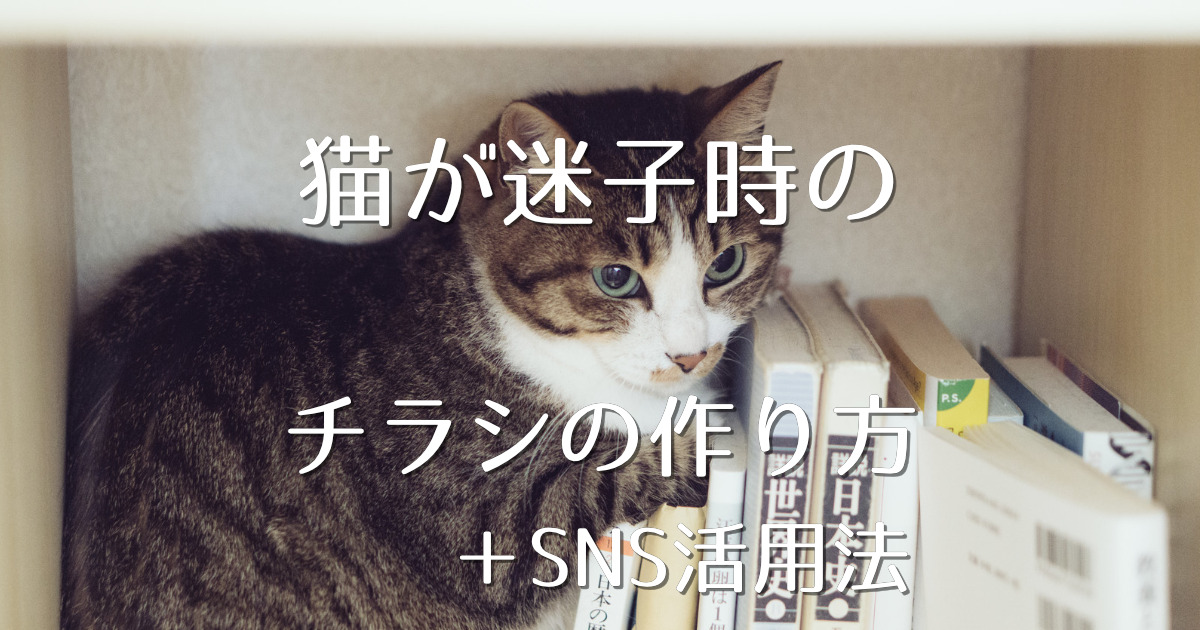 猫が迷子になった チラシの作り方やsnsを活用する方法 にゃんこ１００