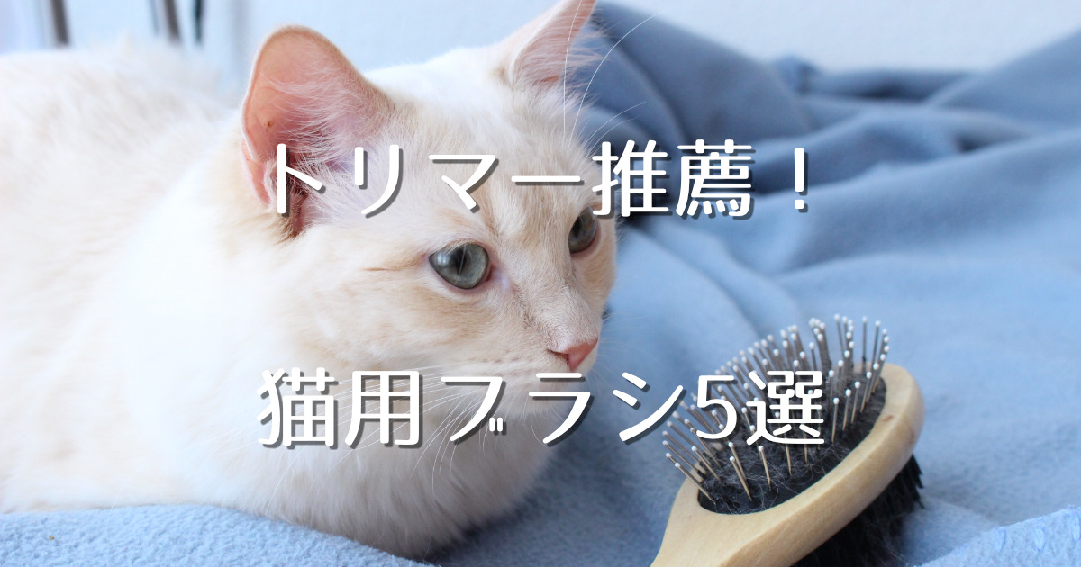 トリマーがおすすめする猫用ブラシ5選 にゃんこ１００