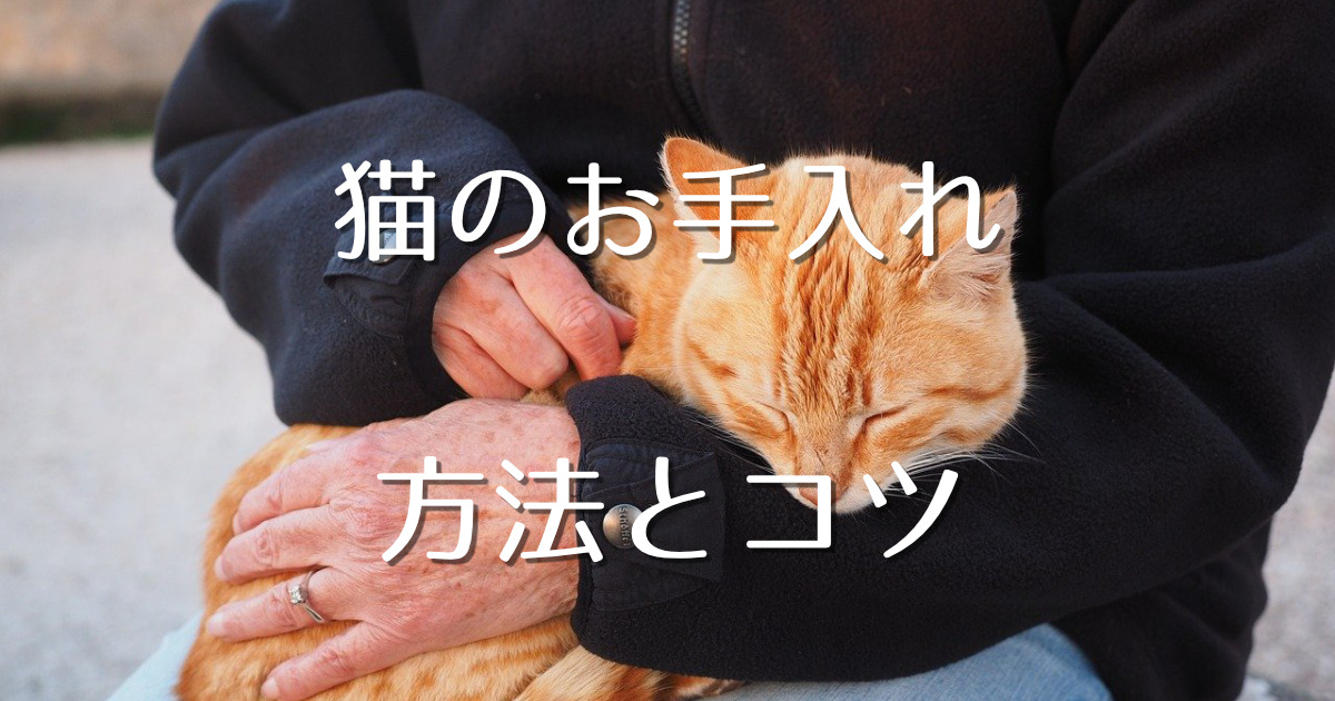 猫のお手入れ方法とコツ ブラッシング 爪切り 目 鼻 耳 肉球 にゃんこ１００