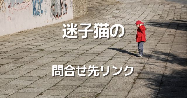 猫がいなくなった 帰ってくる確率は いつまで様子を見ていて大丈夫 にゃんこ１００